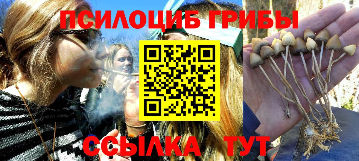 Псилоцибиновые грибы ЛСД Киселёвск